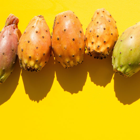 Prickly Pear Seed Oil: Why We Love It