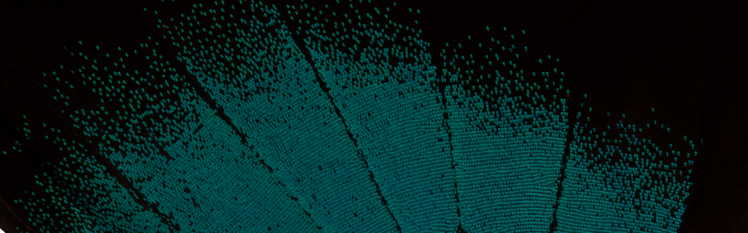 Discovery Collection—