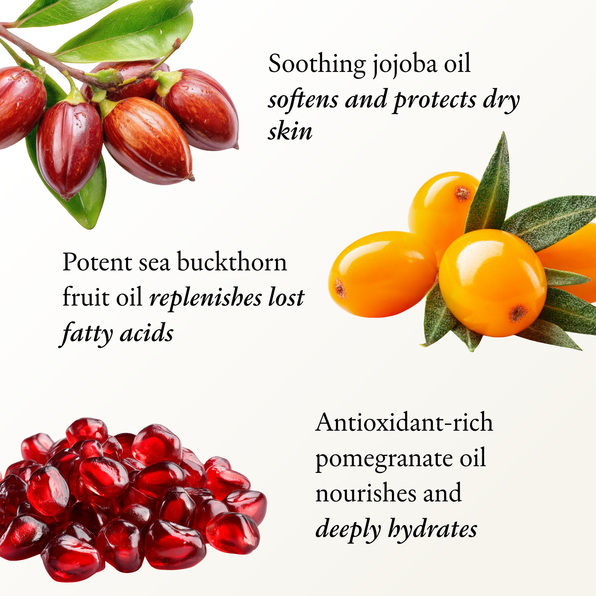 An informational graphic with three botanical ingredient clusters and text callouts on a light cream background: red sea buckthorn berries and leaves, bright yellow sea buckthorn berries and leaves, and red pomegranate seeds with text describing benefits of jojoba oil, sea buckthorn fruit oil, and pomegranate oil.