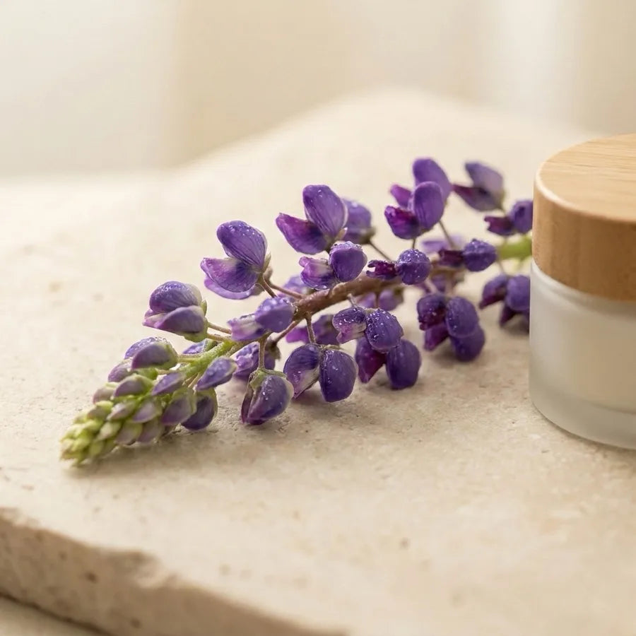 Lupine Peptides