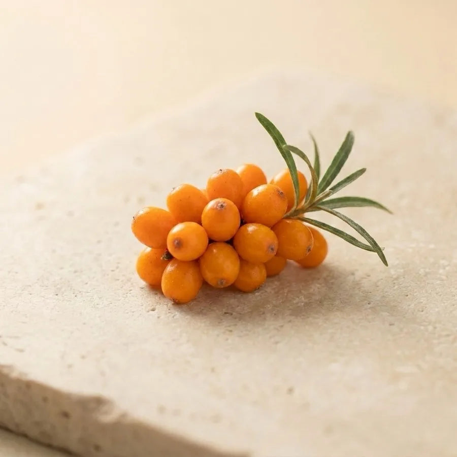 Sea Buckthorn
